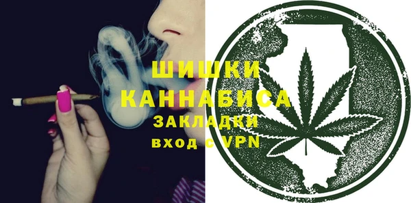 ПСИЛОЦИБИНОВЫЕ ГРИБЫ Нея