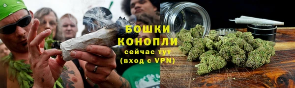 эйфоретик Новозыбков