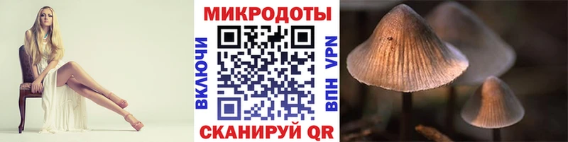Галлюциногенные грибы Cubensis  Истра 