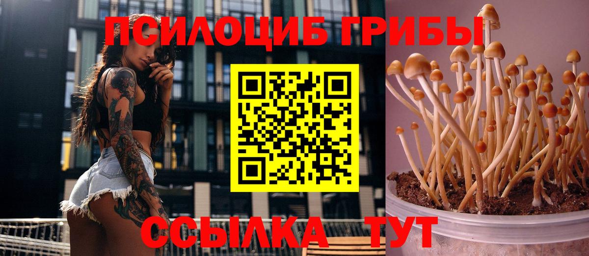 Галлюциногенные грибы Cubensis Истра