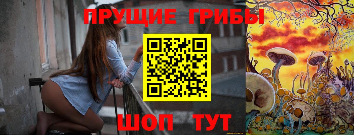 Псилоцибиновые грибы MAGIC MUSHROOMS  Вход с VPN  купить наркотик  Истра 